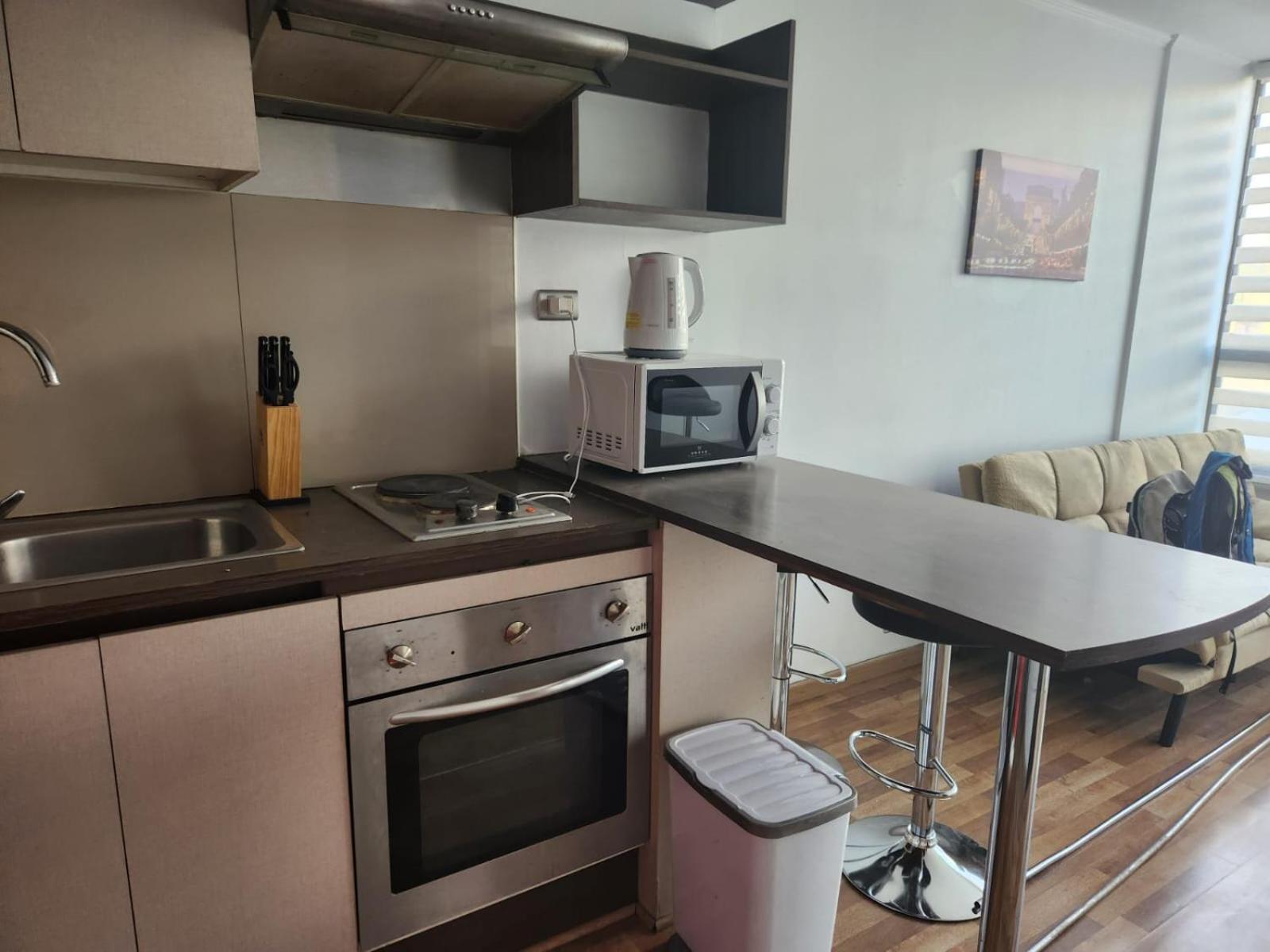 サンティアゴDepartamento Paseo Bulnes Metro La Monedaアパートメント エクステリア 写真